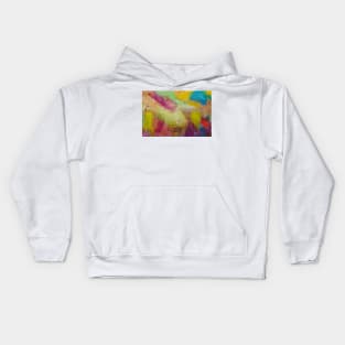 Falls Kids Hoodie